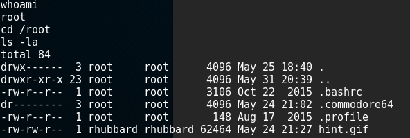 running exploit grants us root
